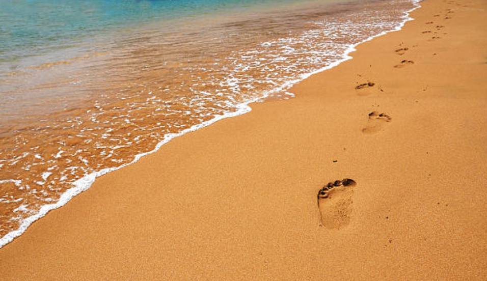 Pathologies de l'avant pied